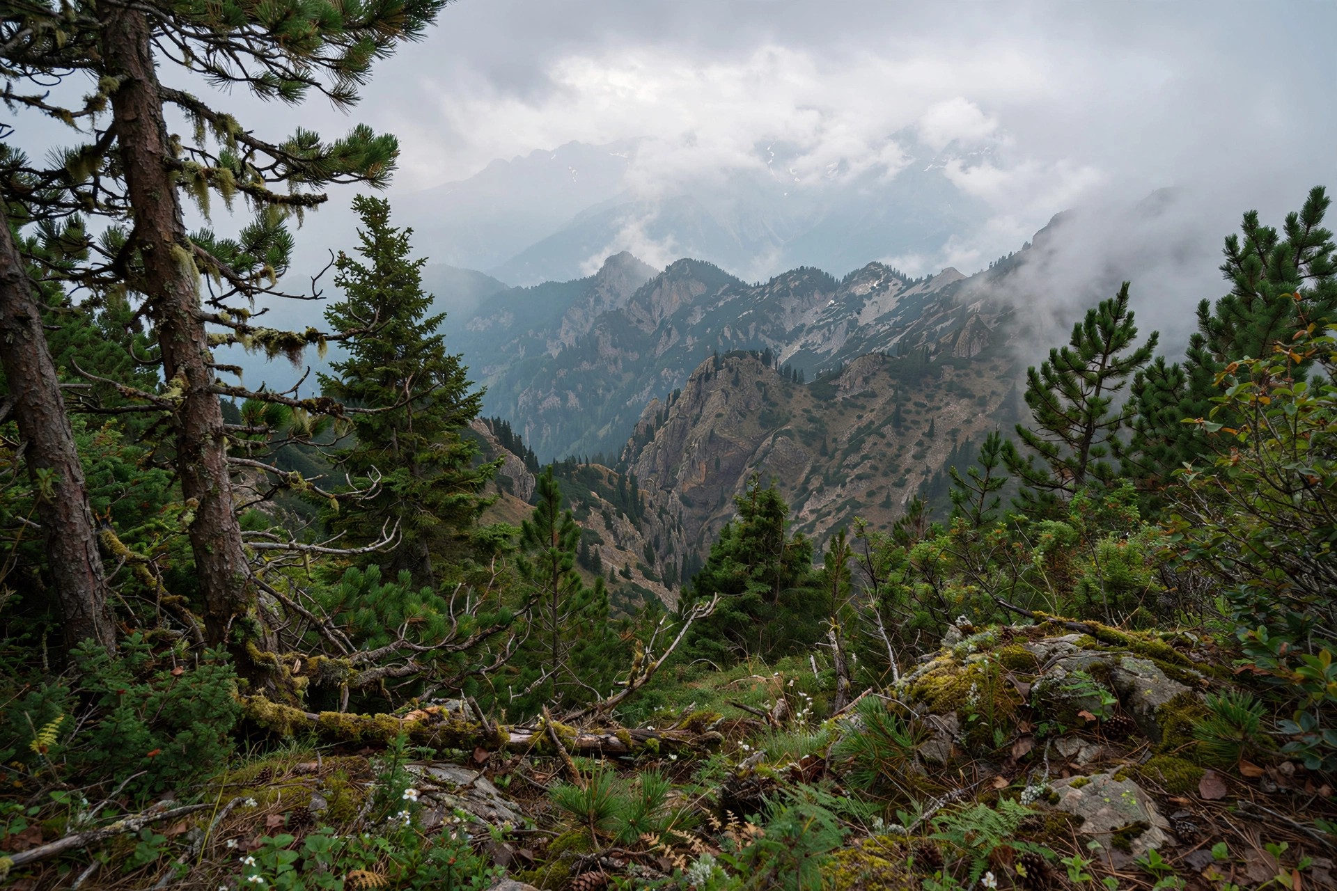 Ejemplo visual: Profundidad — planos de árboles, picos y nubes lejanas